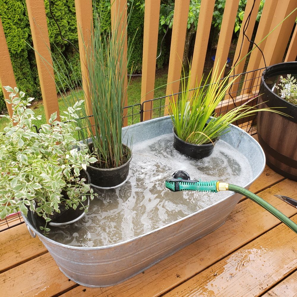 Best DIY Kid's Pool Fish Pond 