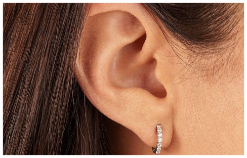 Short Earrings for an Oval Face