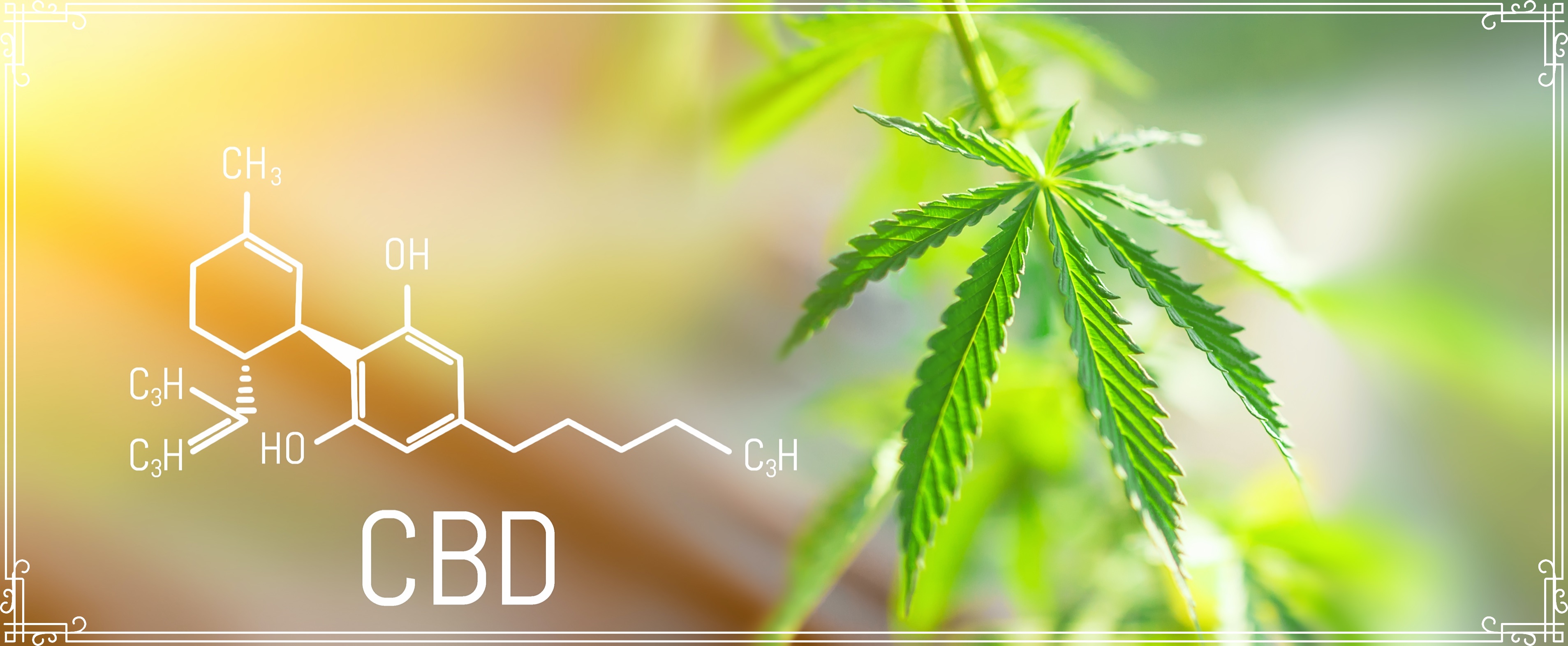 what is cbd