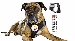 Sports Themed Pet Harnesses