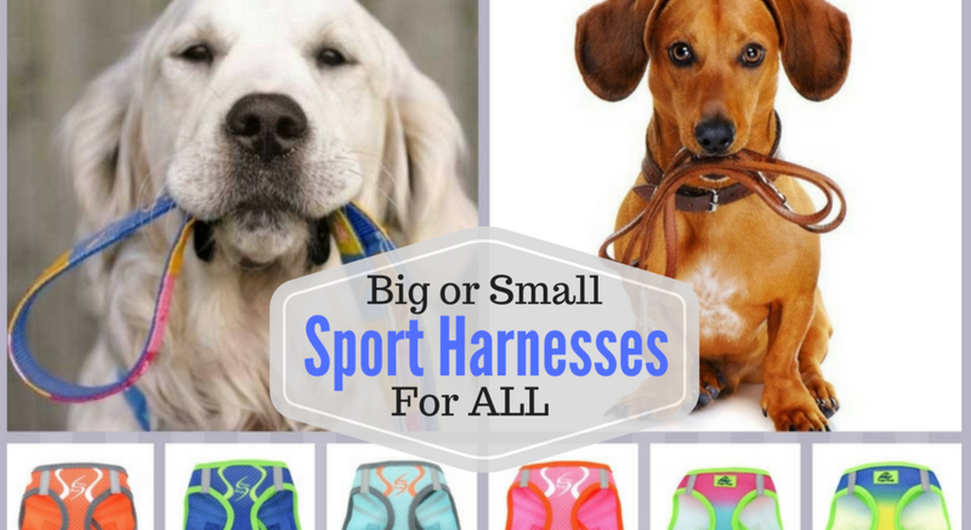 Pet Harneses for al sized dog breeds - over the head halters, step in vests, wrap-around jackets