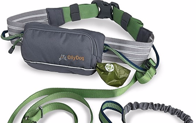 Hands Free Belt pouch and leash