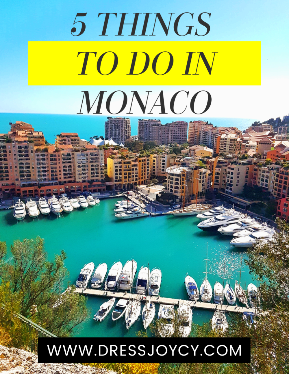 Monaco Shopping Guide