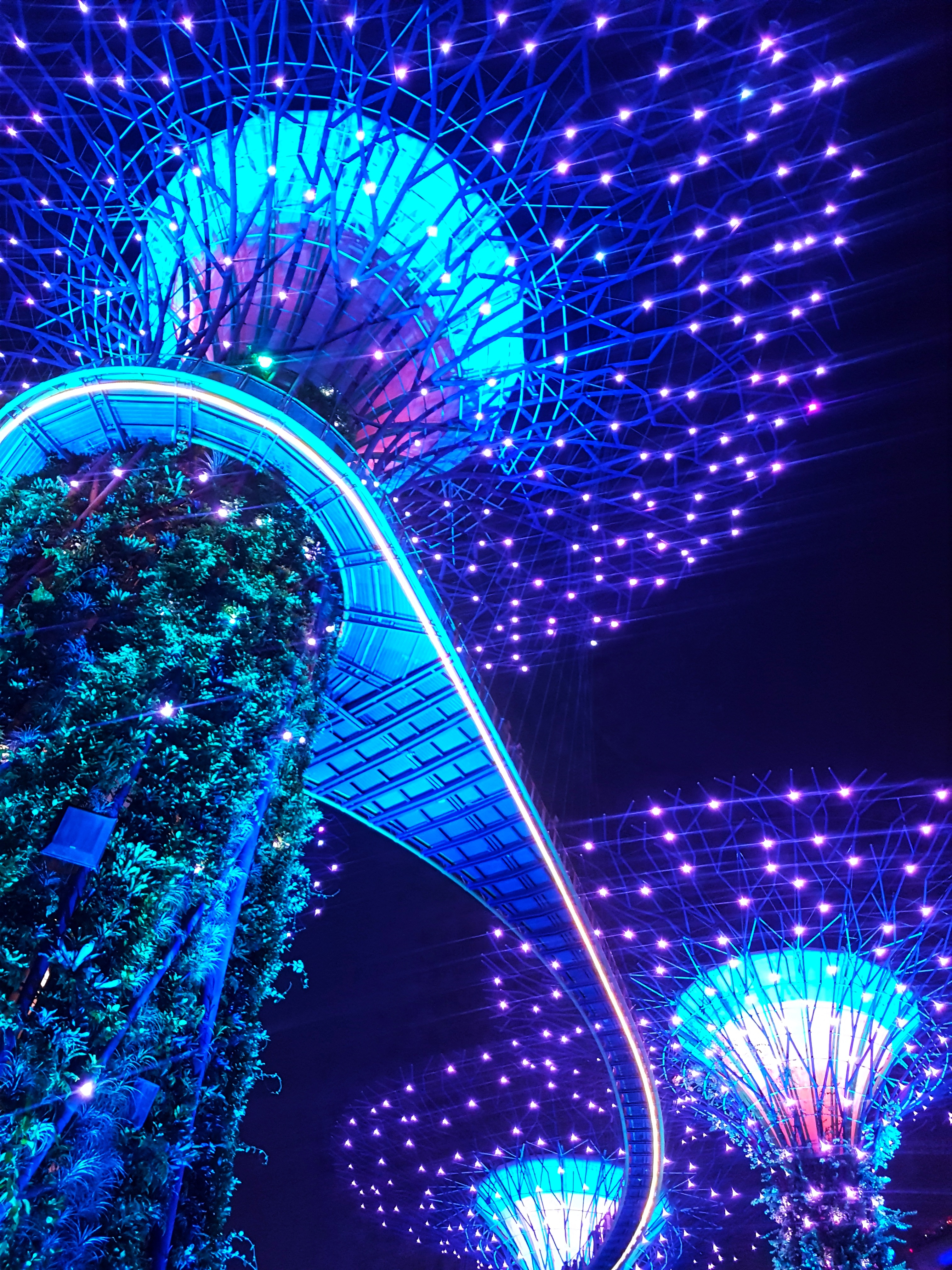 15 Fun Things To Do in Singapore, the City of the Future? - Supertree Grove