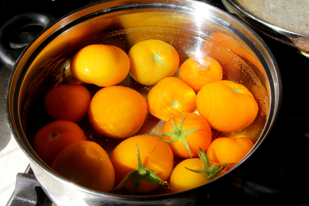 Blanching tomatoes for freezing