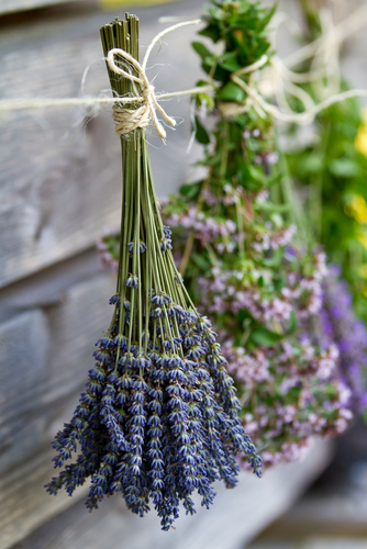 Air Drying Fresh Herbs, Lavender