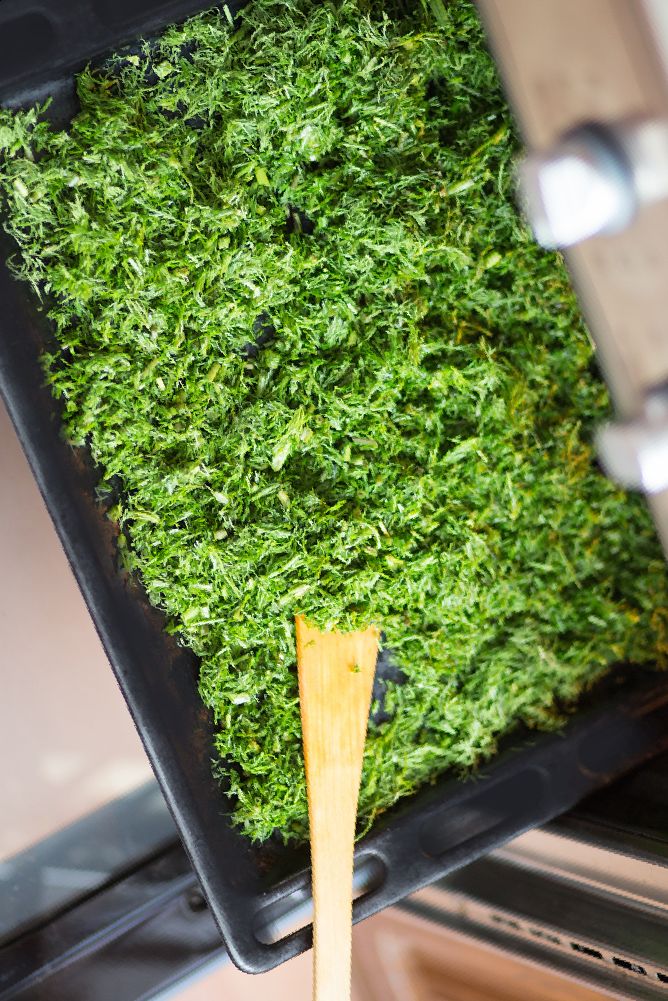 Oven Drying Fresh Herbs