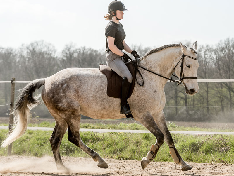 Heiße Teenagerin Ist Gut Im Reiten Heiße Teenagerin Ist Gut Im Reiten