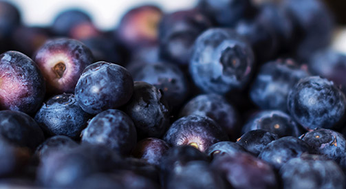 Blaubeeren
