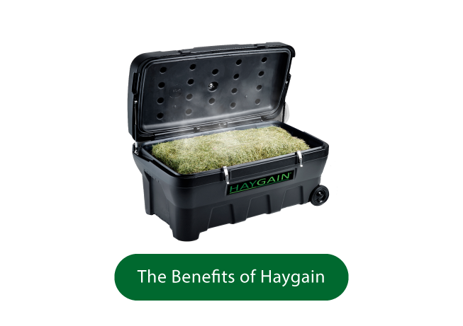 https://haygain.co.uk/pages/benefits-of-hay-steaming