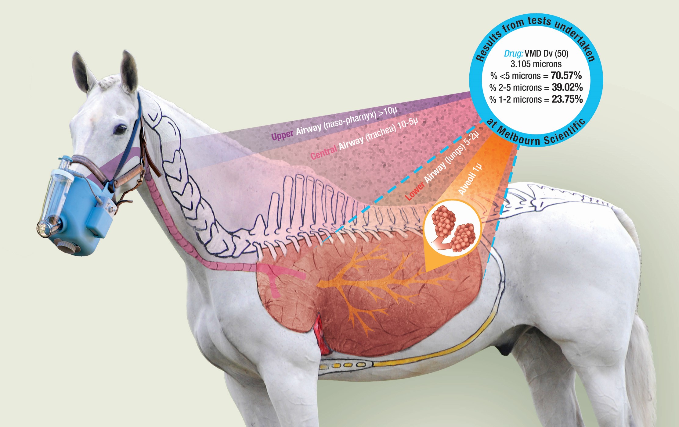 Flexineb Equine Nebulizer