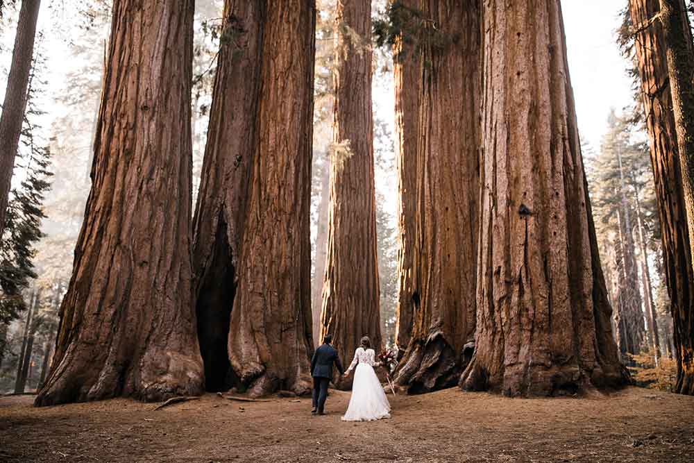 bride and groom in Sequoia National Park for their wedding elopement