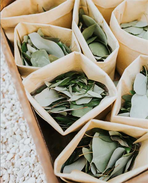 DIY wedding exit toss eco-friendly ideas