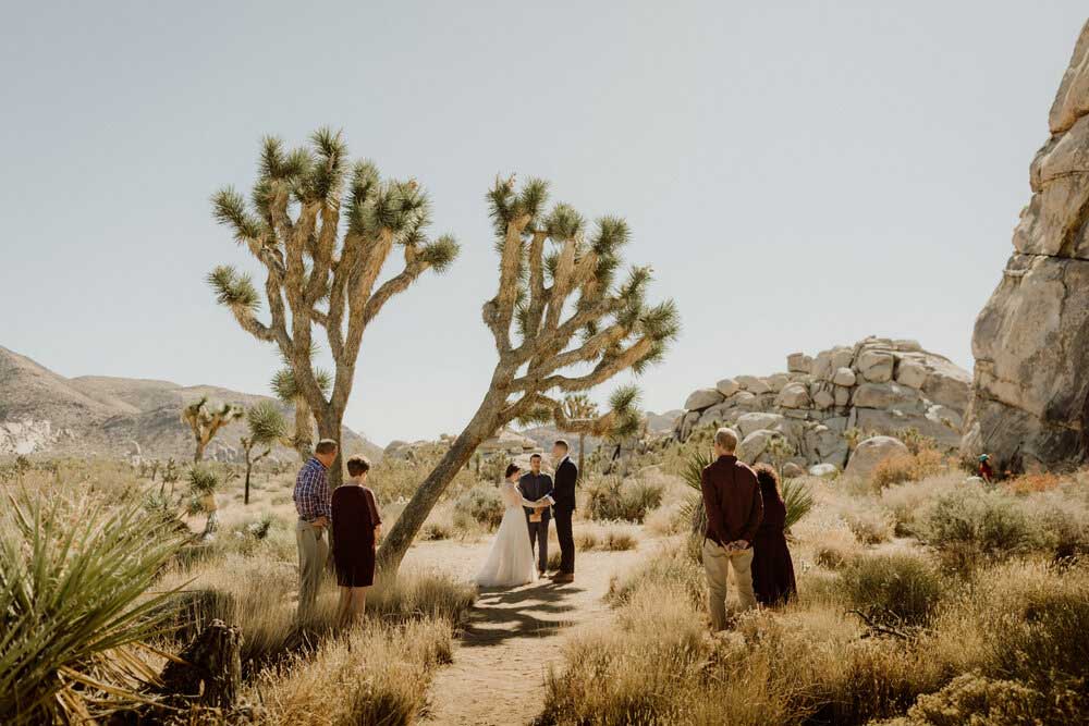 bride and groom in Joshua Tree National Park for their wedding elopement