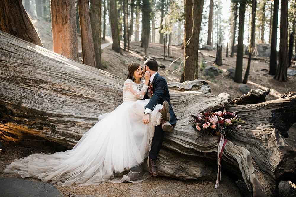 bride and groom in Sequoia National Park for their wedding elopement