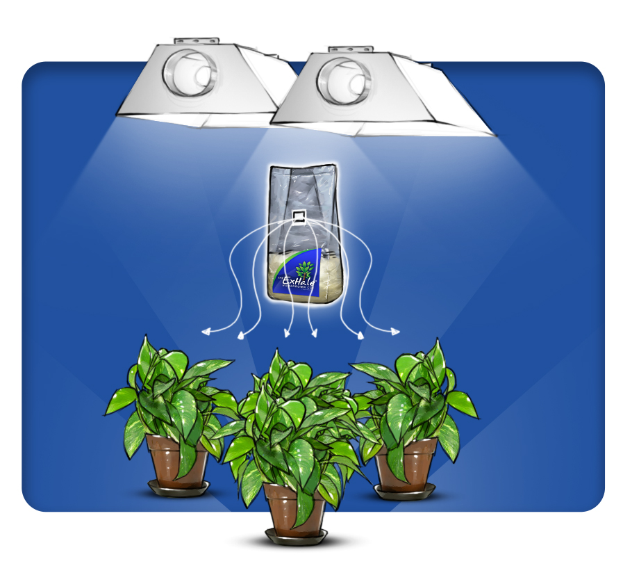 The Benefits Of Adding Carbon Dioxide To Your Grow Indoor Growing Canada