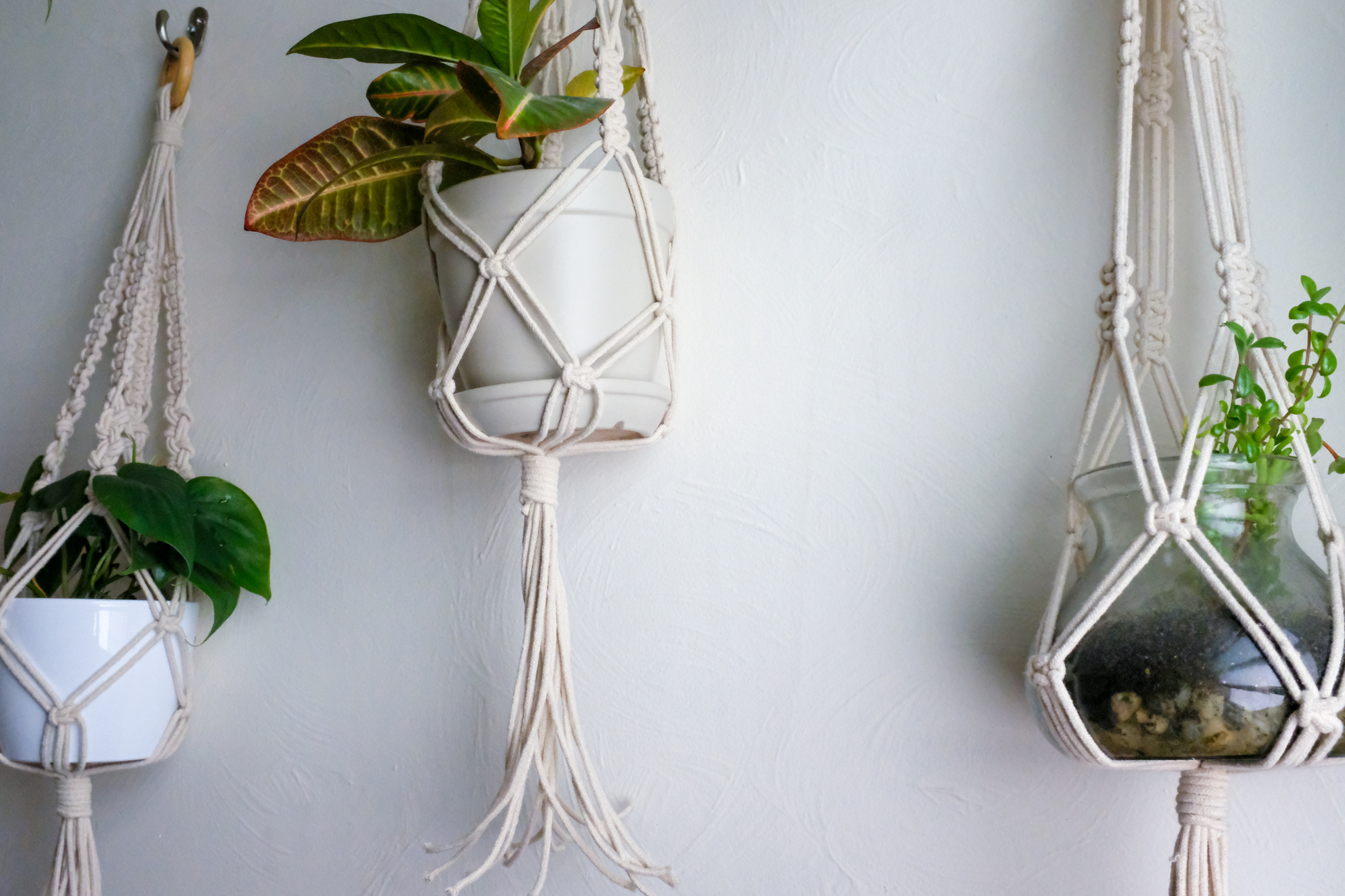 Macrame Plant Hanger Tutorial - Bathroom Makeover – Jenny Lemons