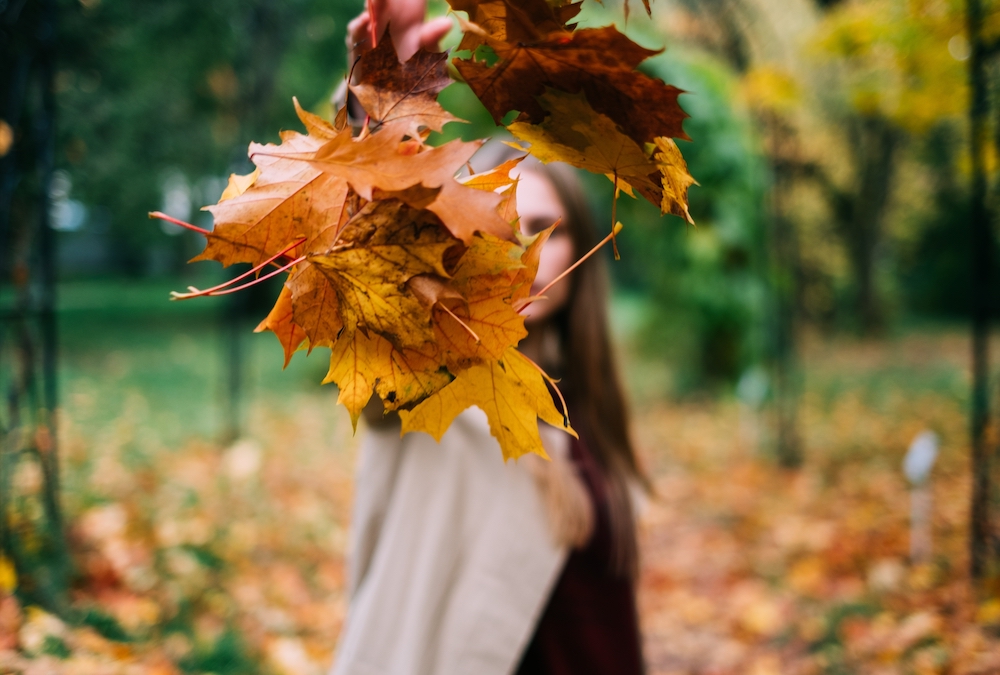 fall-lash-shed-1