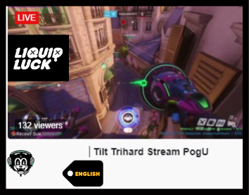 Twitch tags example 2
