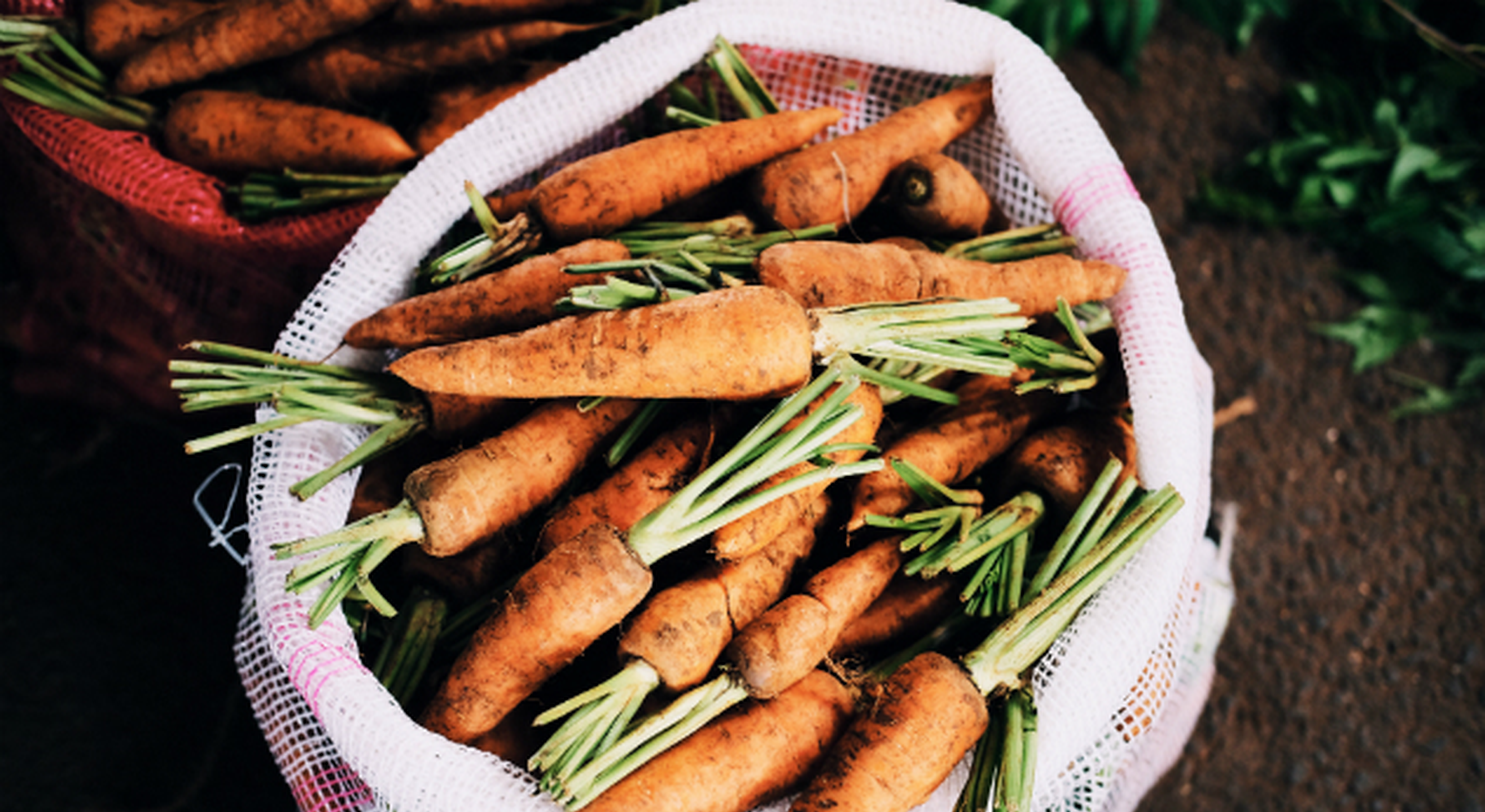 Sack of organic carrots waiting to be washed