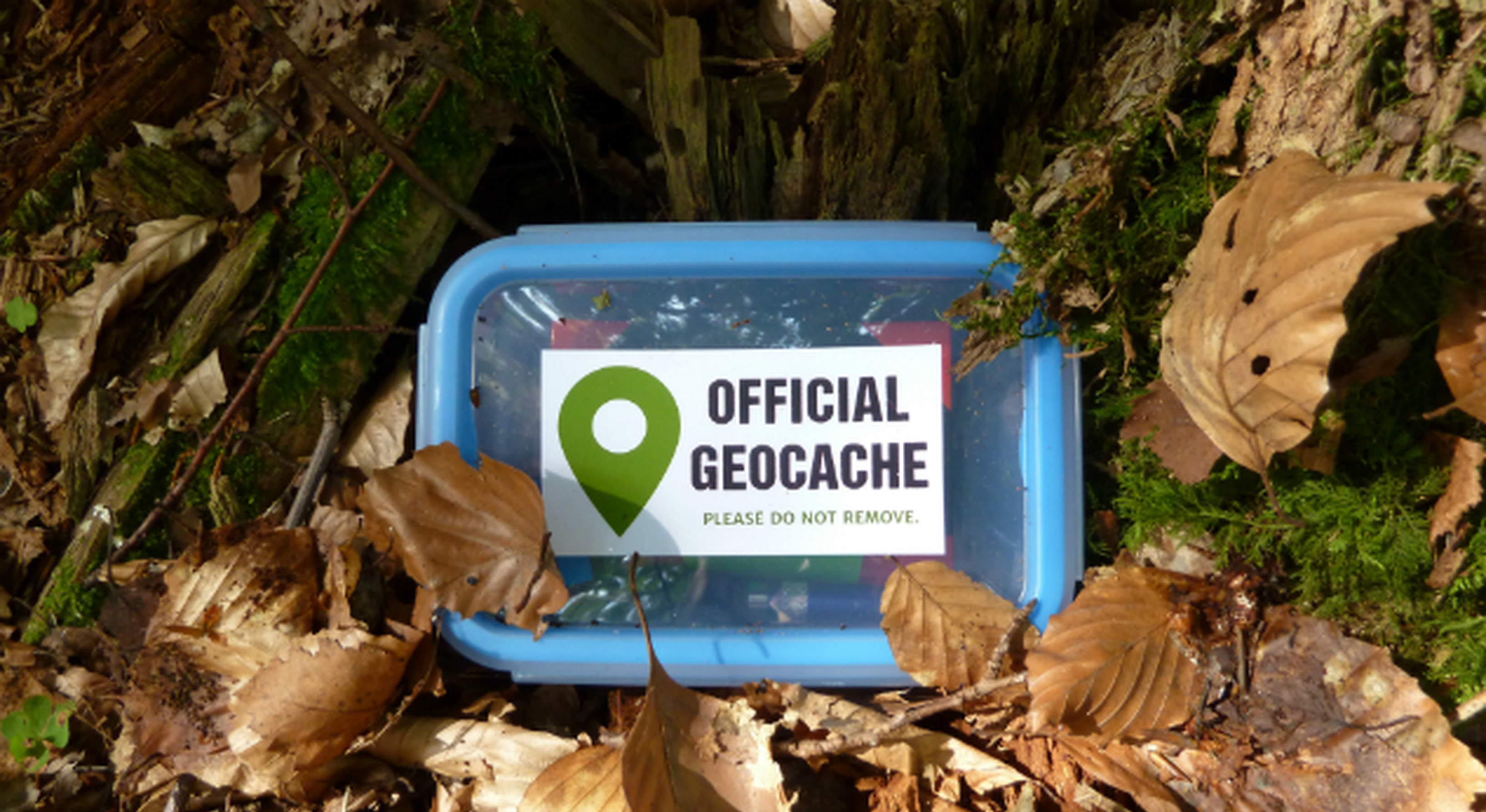 Geocache box hidden in the woods