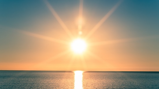 Lebensmittel mit hohem Vitamin D3-Gehalt