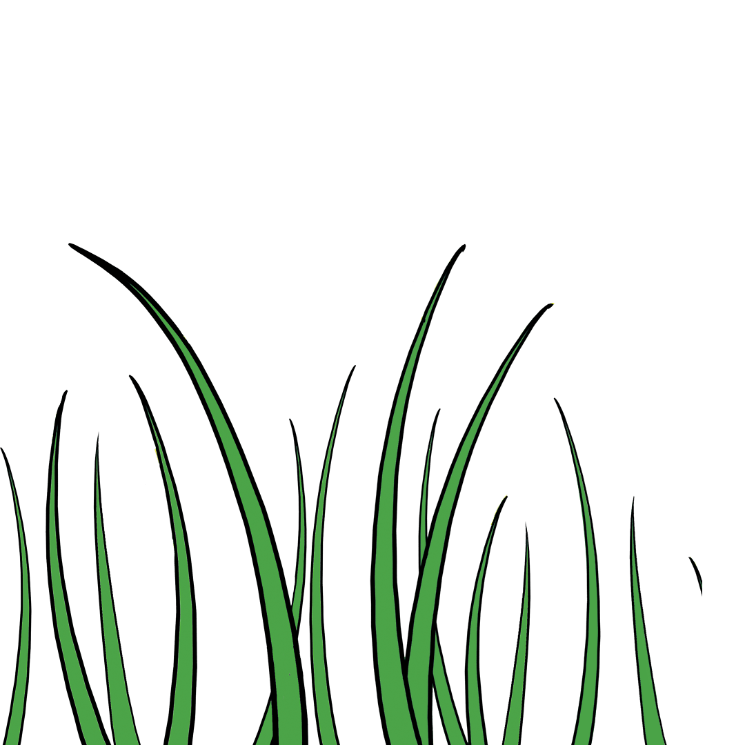 illustrated grass