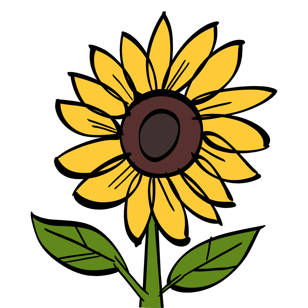 illustrated flower