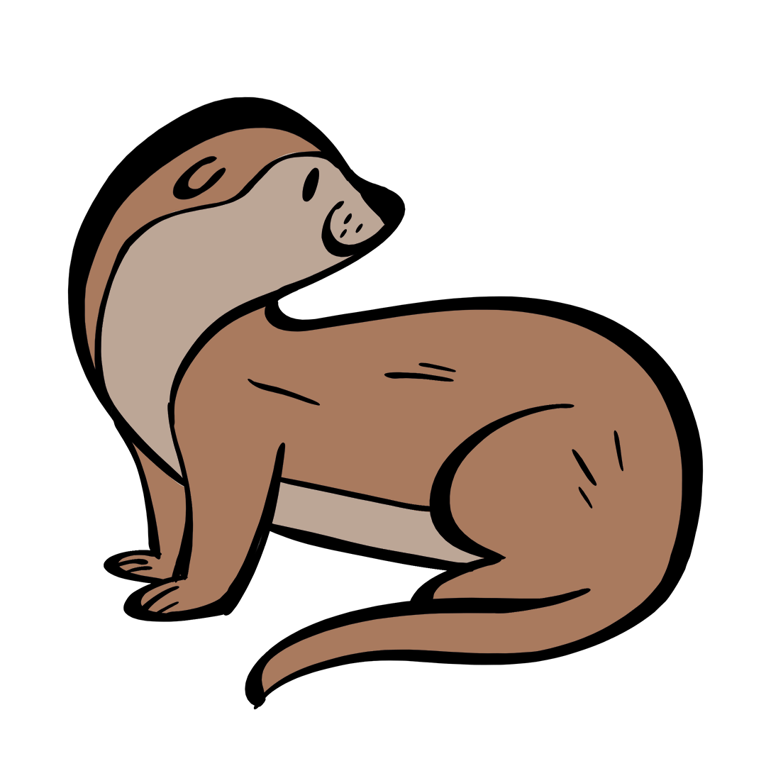 illustrated otter