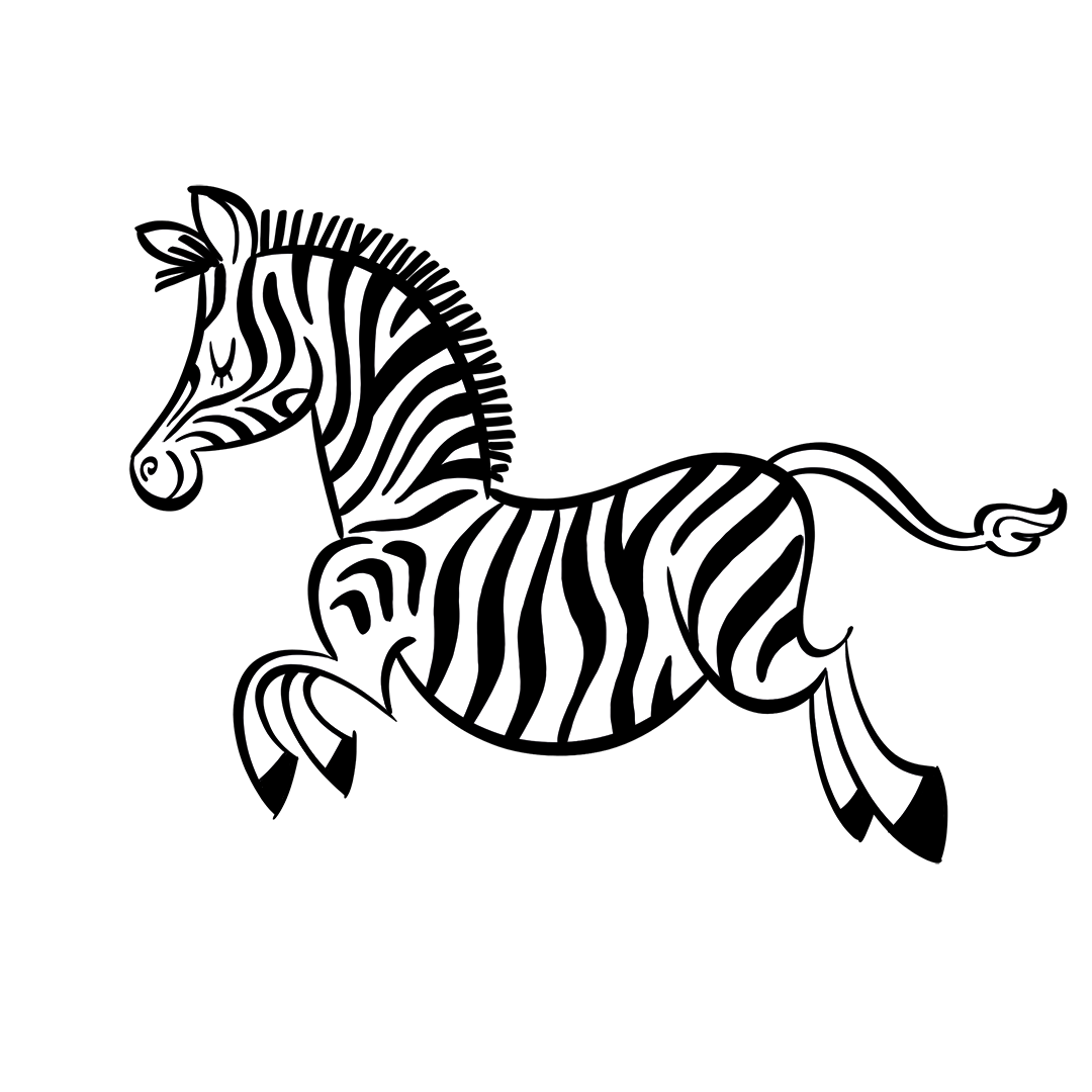 illustrated zebra