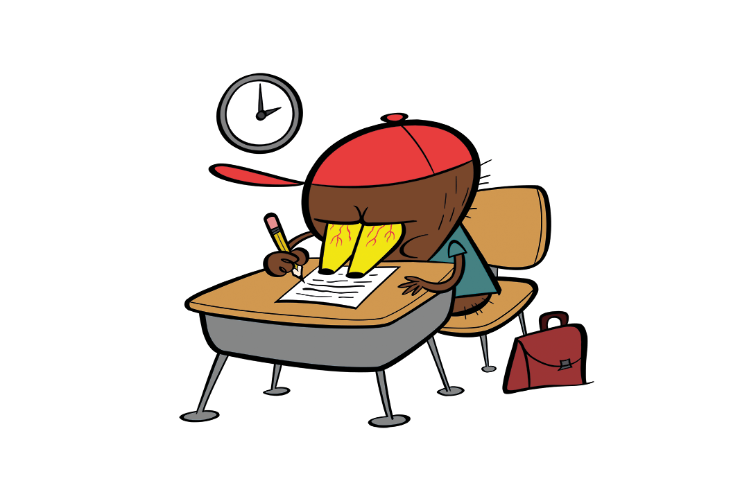 illustrated platypus at a desk