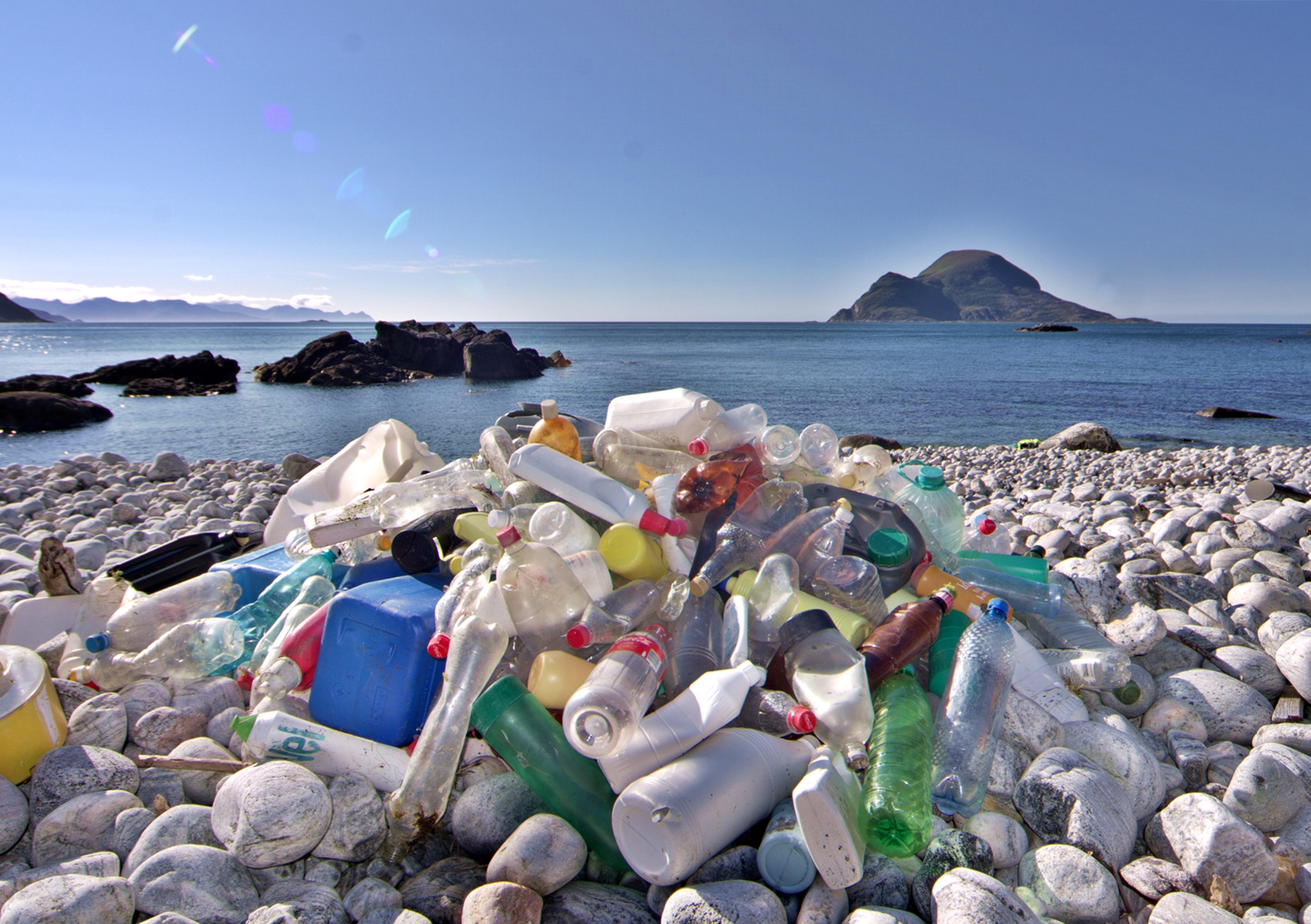 plastic bottles that have been pulled out of the sea