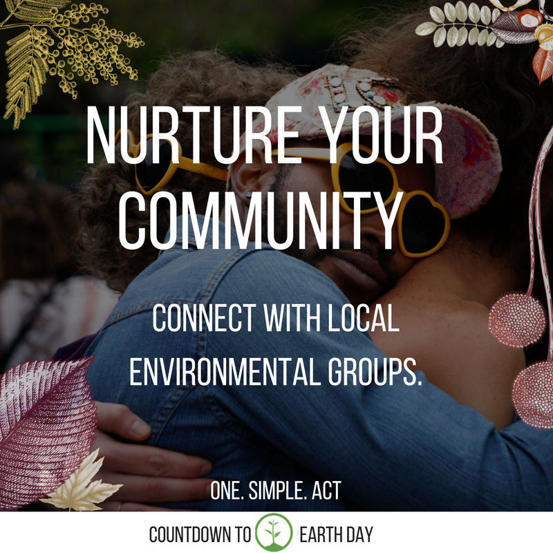 22 Earth Day Tips Earth Day Quiz Countdown In April One Tree Planted
