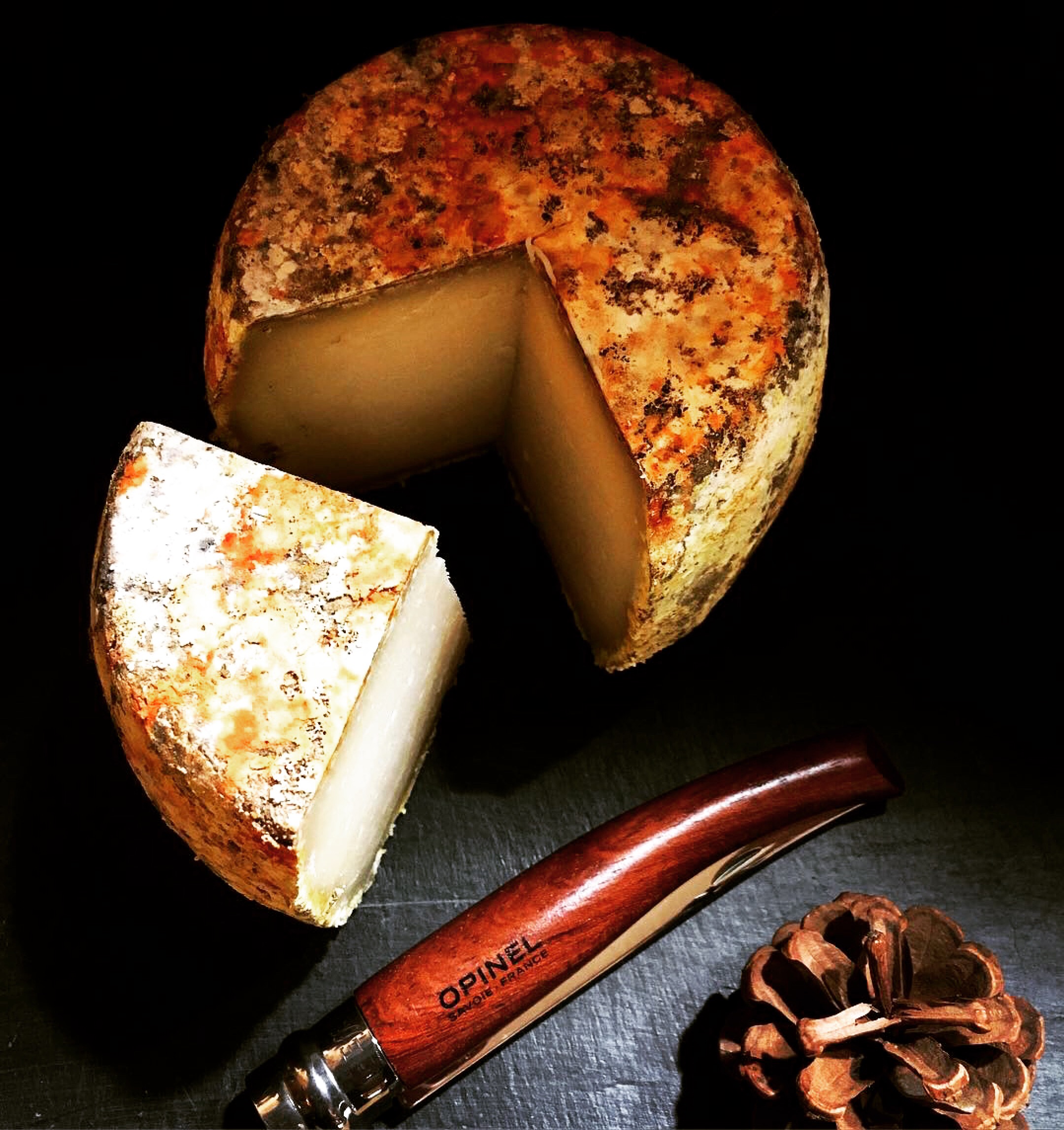 Tomme de brebis osteskorper
