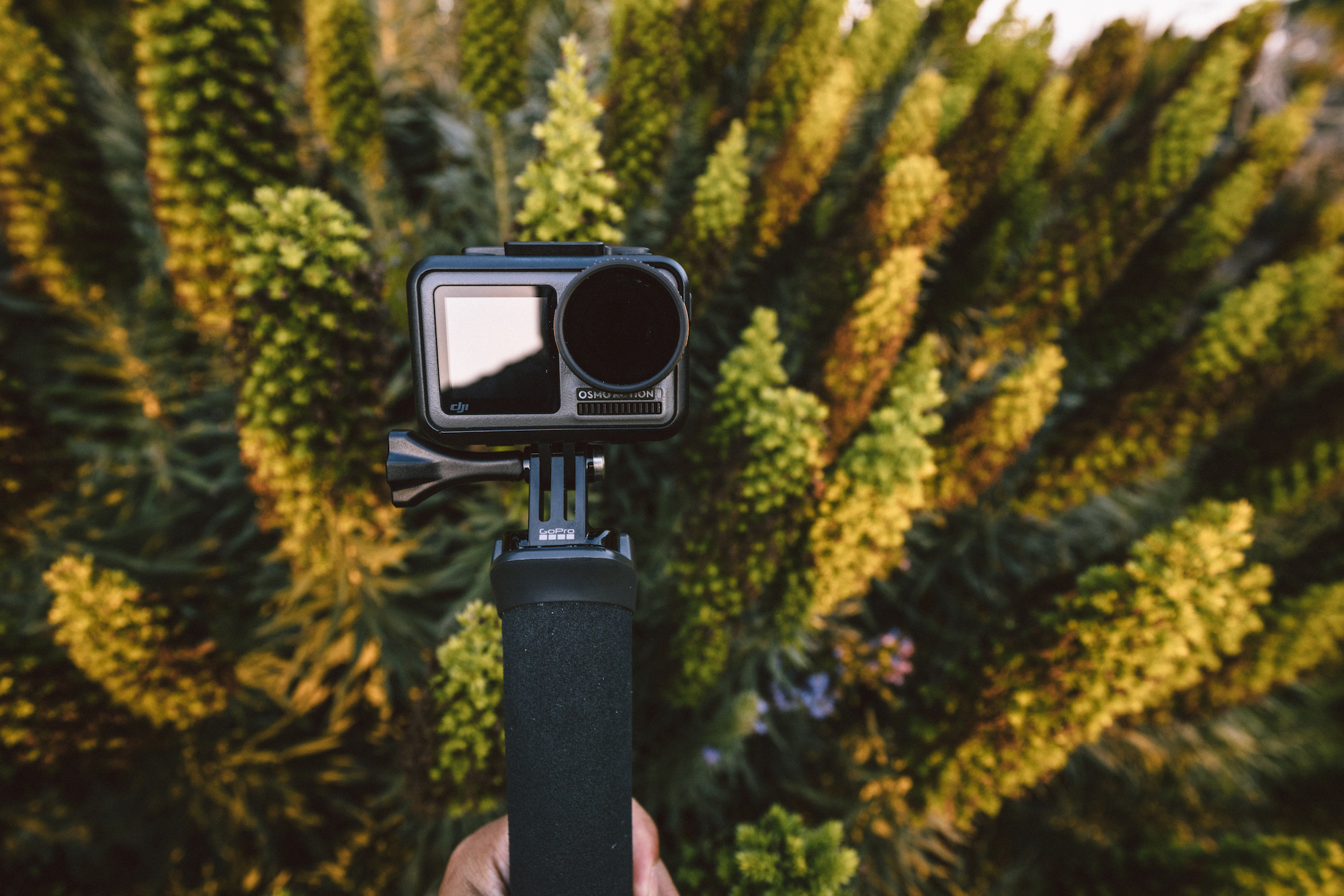 Dji osmo best sale action footage