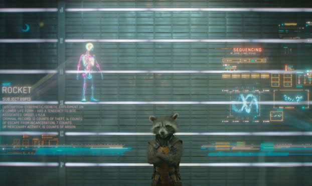 Front Profile of Rocket Racoon from Guardians of the Galaxy