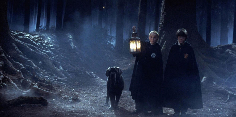 Harry Potter, Malfoy and Hagrid's Dog walking through the Forbidden Forest