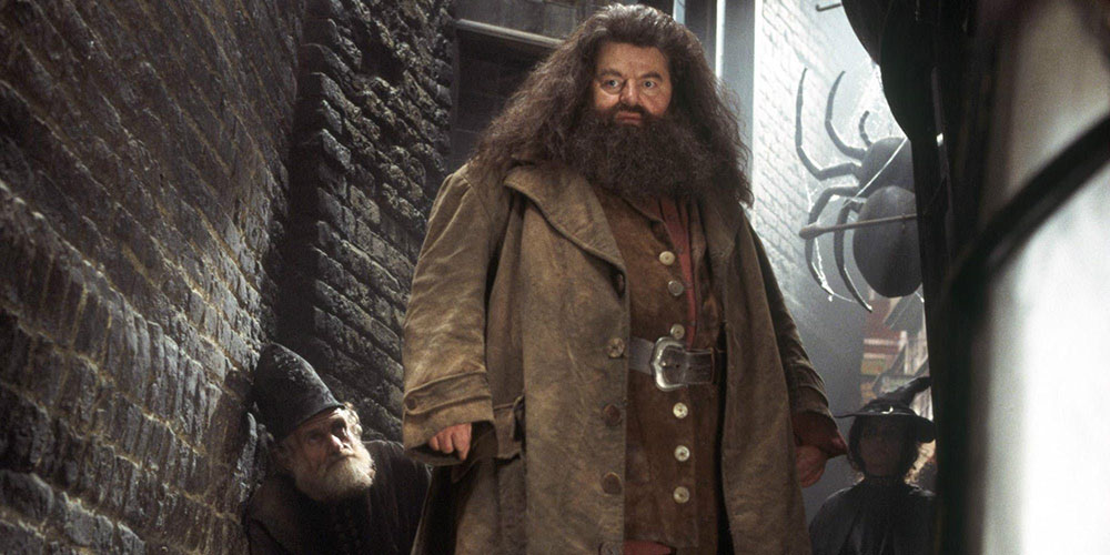 Hagrid in a Scene from the Harry Potter Films