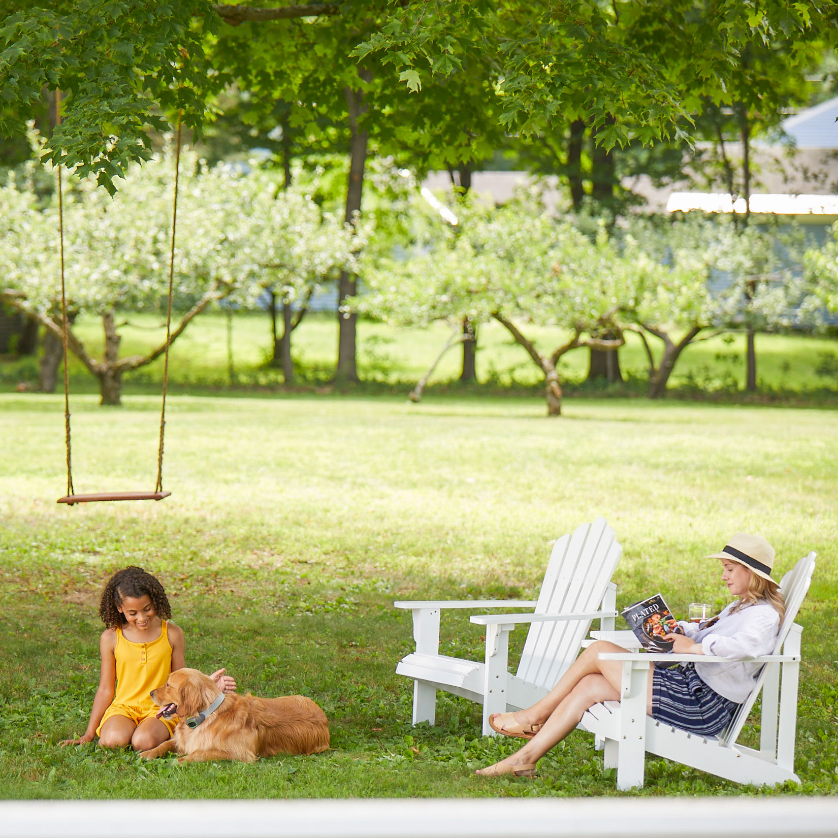 pet-proofing yard