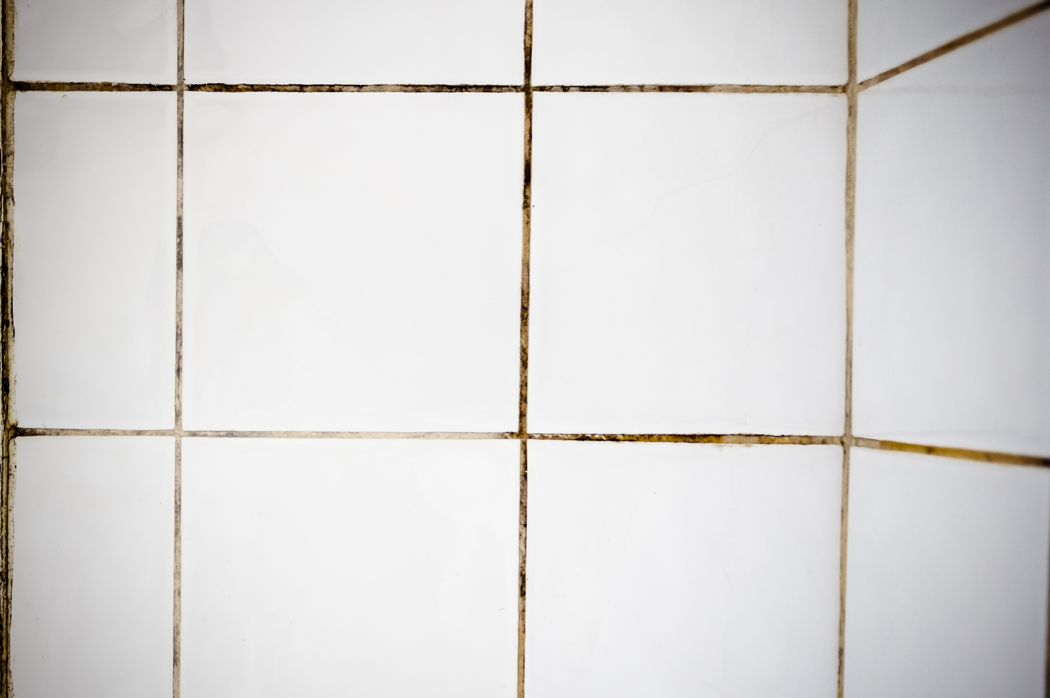 The Definitive Guide On How To Clean Your Shower Tiles Showergem Uk