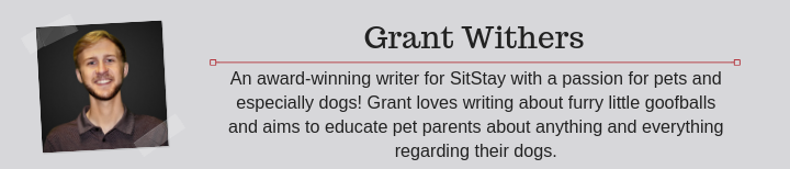 grant withers author at sitstay.com
