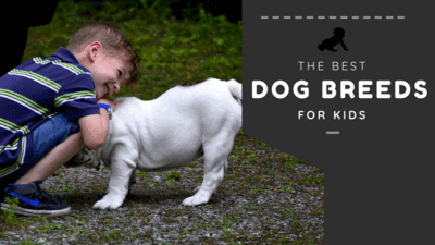 BEST DOG BREEDS FOR KIDS