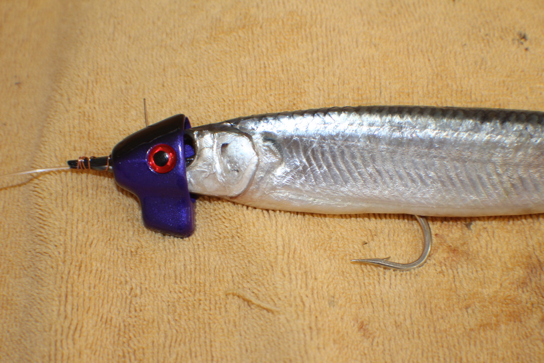 How Saltwater Trolling Lures Work TrollTrue Saltwater Trolling Lures