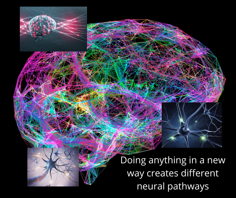 Neural pathways