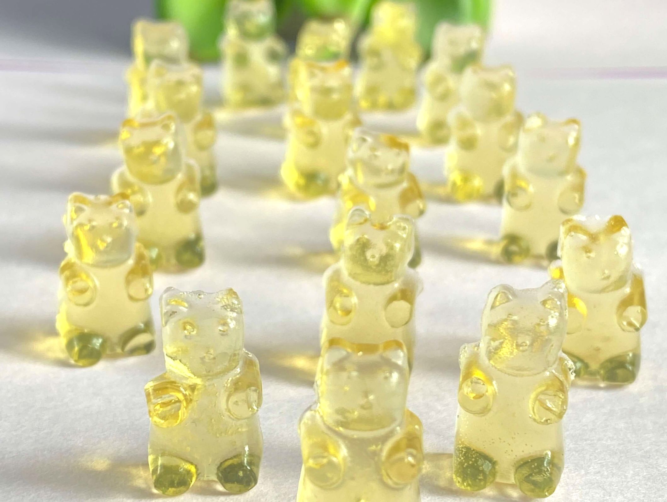 Gelatin Gummy bear dog treats on table